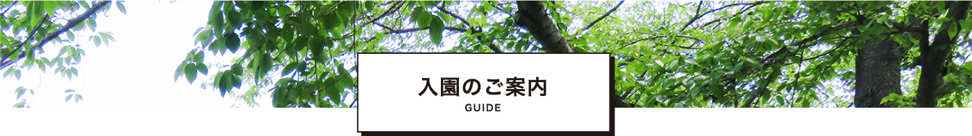 入園のご案内